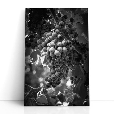 Fruit of the Vine - reproduction d'art sur toile