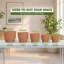 Pots de fleurs d'intérieur avec drainage, ensemble de 5 pots de différentes tailles, en terre cuite-23956494