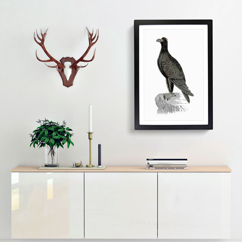 Mountain Eagle Illustration - Framed Print, 36cm H x 27cm W x 2cm D, Black Framed