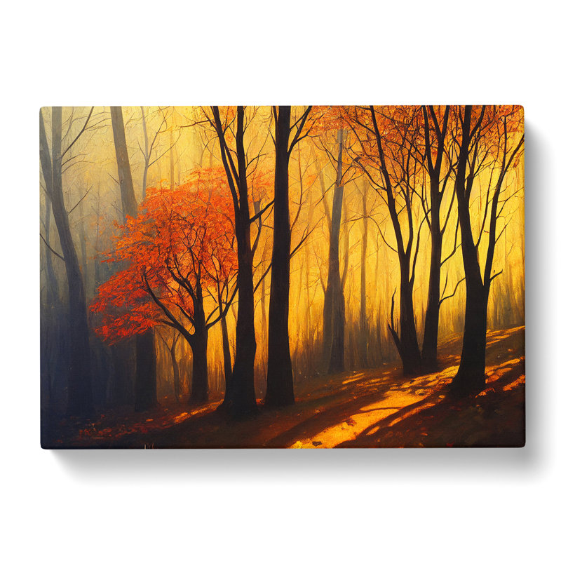 Fine Autumn Forest - Wrapped Canvas, 50cm H x 76cm W x 3cm D