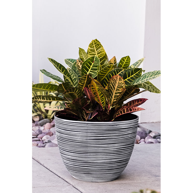 Nil   Pot Planter, White