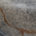 Slate Marble