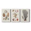 Knorr Shells & Coral I - Toile tendue sur mesure avec châssis - 3 pièces-1005421242