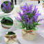 Eucalyptus Arrangement