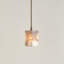 Luminaire suspendu carré simple à 1 lumière Hex Pendant