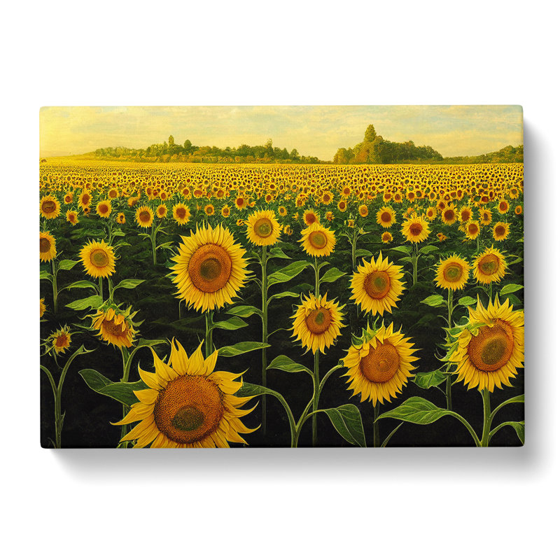 Irresistible Sunflower Field - Wrapped Canvas, 40cm H x 60cm W x 3cm D