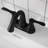 Centerset 2-Handle Bathroom Faucet with Drain Assembly-63970555