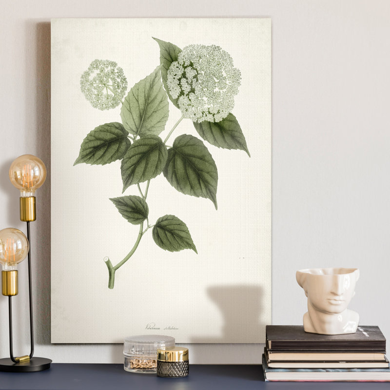 « Sauge Botanical I », reproduction d’art sur toile tendue, H 12 po x l 8 po x P 1 po