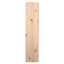 Manassa Small Radiator Cover