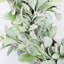 24" Faux Lambs Door Wreath