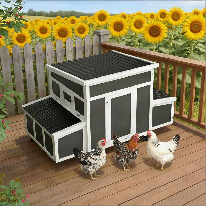 Pet House, Wooden Chicken Coop
