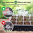 Boshen Growing Kit-100943826