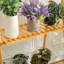 Newdale Plant Stand