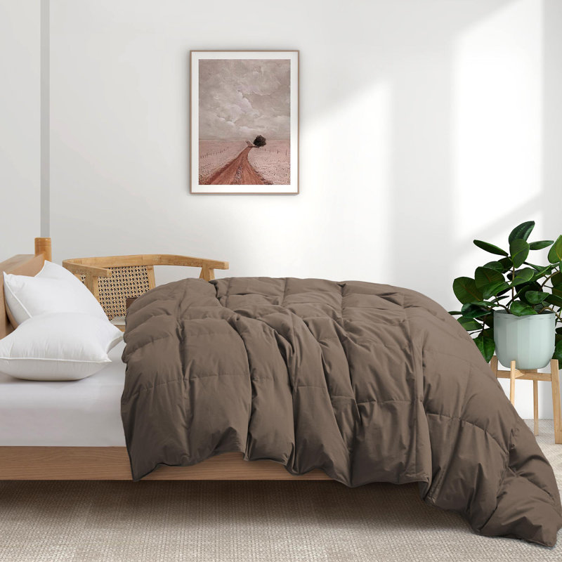 All Season Cotton Down Comforter/Duvet Insert, King Comforter, Coffee Brown