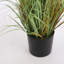 Faux Foliage Grass in Pot-119018617