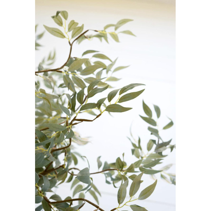 BOTANICA # 3436
