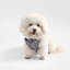 Harnais pour animal de compagnie Arlo-112400957