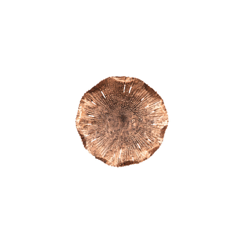 Lotus Wall Décor, Copper, 9" H x 9" W x 2" D