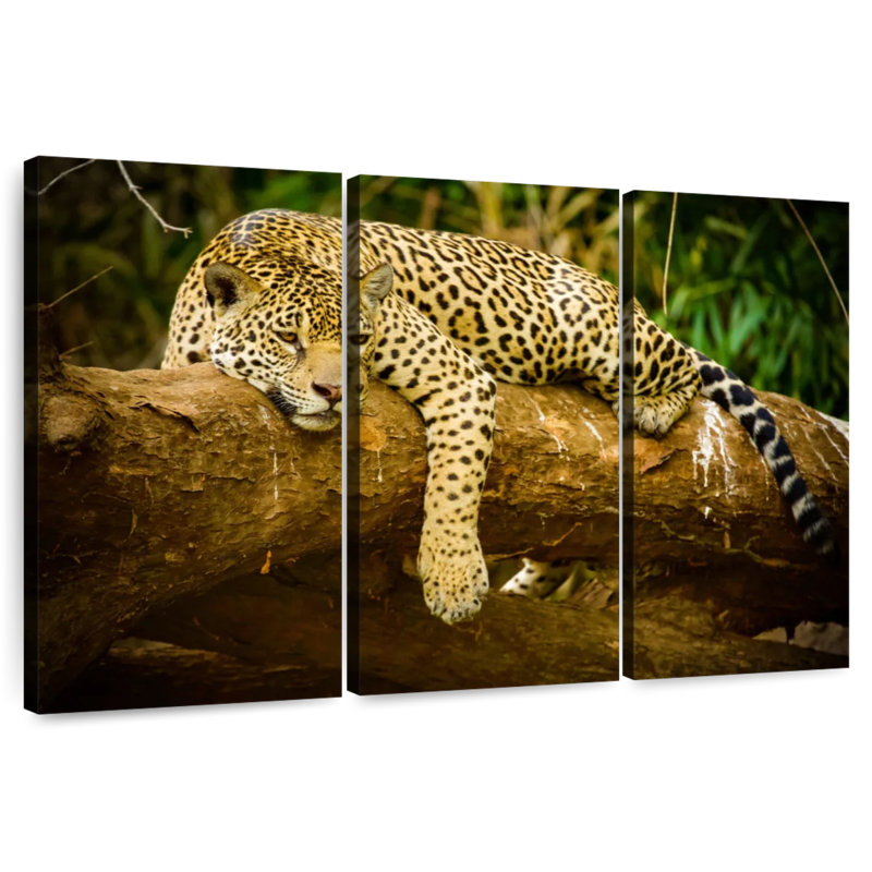 Brampt Pantanal Jaguar, 20" H x 33" W
