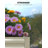 Steel Raised Garden Bed-498286313-498286312-498286318