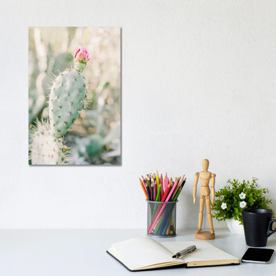 Prickly Pear Flower, Tuscon, Arizona by Lovelylittlehomeco - Wrapped Canvas Gallery-Wrapped Canvas Giclée