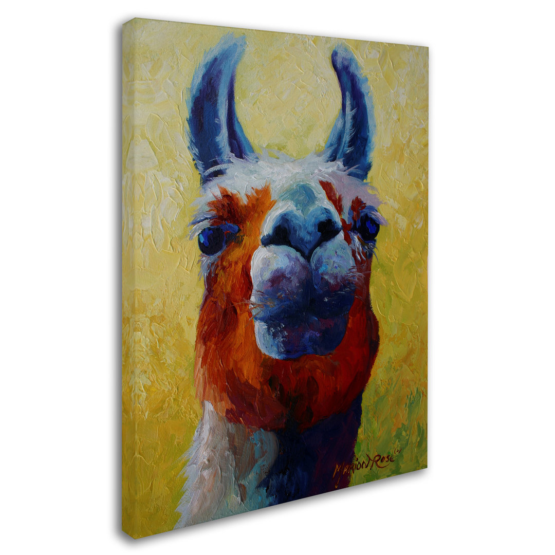 Kucera 'Llama I' Print on Wrapped Canvas Winston Porter 