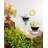 Pensford 8.25 oz. Cosmos Glass