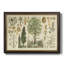 Collection Arbor - Toile encadrée de qualité supérieure - prête à être accrochée-21880270