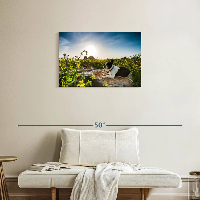 Brampt Meadow Dog, 20'' H x 30'' W
