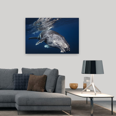 Deep Blue Humpback Whale Serene Tranquil Contemporary Whale Nature Ocean Wall Art Print
