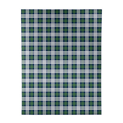 Plaid Indoor Rug