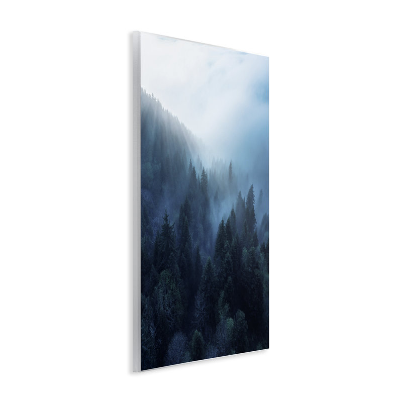 Daylight over Pine Forest Wall Plaque Art by Unsplash, H 15 po x l 10 po
