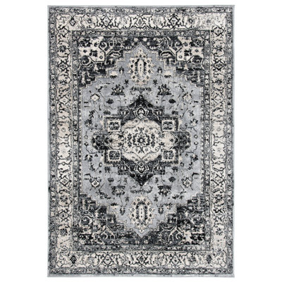 Alby Performance Oriental Rug