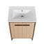 Bathroom Vanity Base With Basin, Storage Cabinet With Doors, Engineered Wood-58395839