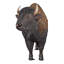 Statue à grande échelle Buffalo of the Great Plains