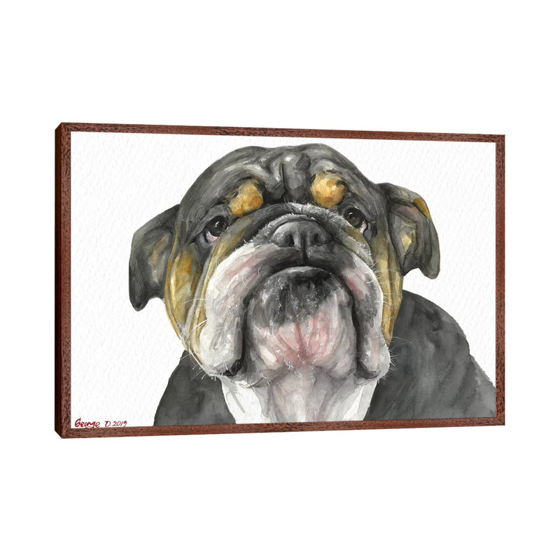 English Bulldog Look by George Dyachenko - Painting on Canvas, 101.6cm H x 152.4cm W x 3.81cm D, Classic Brown Wood Framed