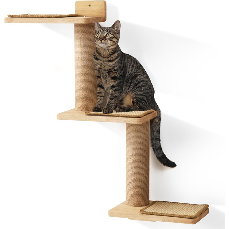 Tablettes murales pour chat, grattoir à chat 3 en 1