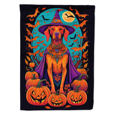 Jakameron Double Sided Polyester Halloween Garden Flag