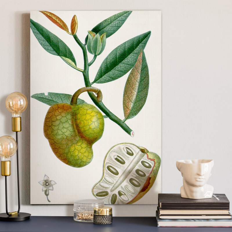 Reproduction d’art sur toile tendue « Turpin tropical fruit III », H 20 po x l 16 po x P 1 po
