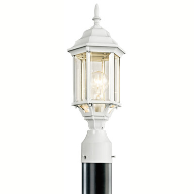 Mahtotopa Lantern Head
