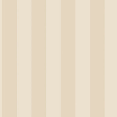Smart Stripes 2 Matte 32.8' L x 21" W Roll