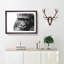 Gorilla with Brown Eyes - Picture Frame Graphic Art Print-56713302-56713299