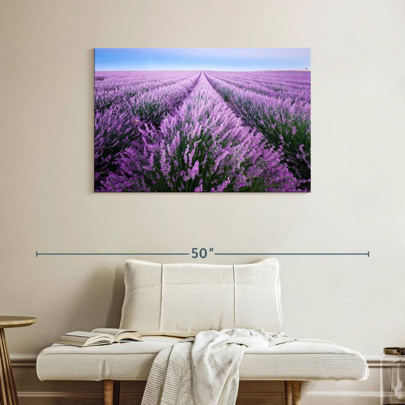 Champ de lavande d'Alvord en Provence, H 26 po x l 39 po