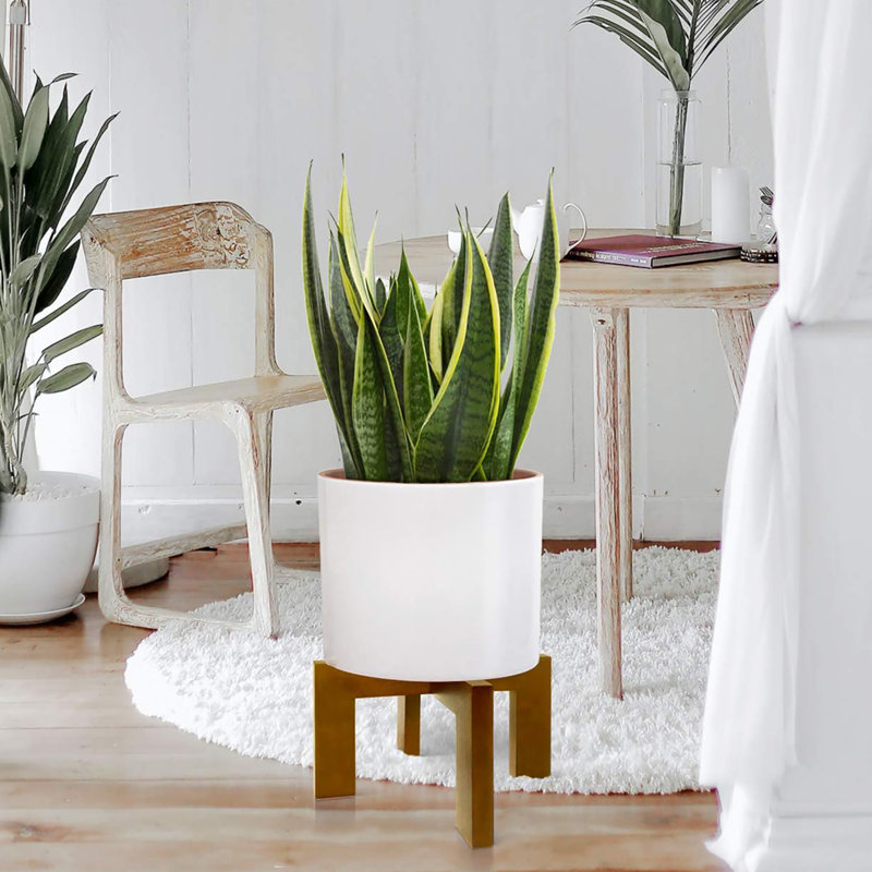 Paquet de 2 supports à plantes d'intérieur / extérieur Mi-Century, pour pot de 5 à 15 pouces, Brun