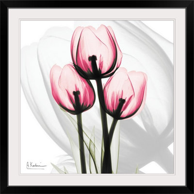 'Tulips X-Ray by Albert Koetsier Photographic Print