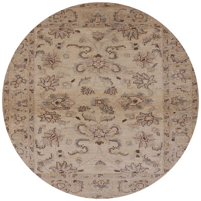 Skarp Oriental Indoor Rug