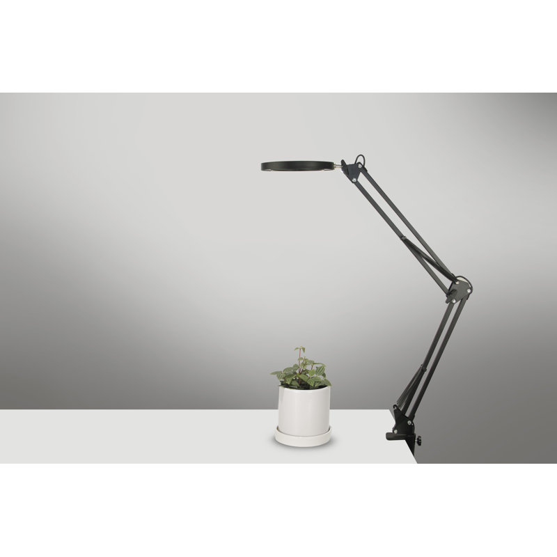 Adley Metal Clip On Lamp, Black
