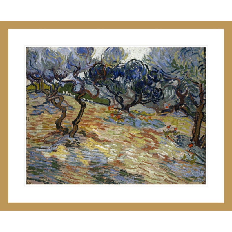 «Olive Trees» par Vincent van Gogh, impression giclée encadrée, H 23,5 po x l 28,74 po