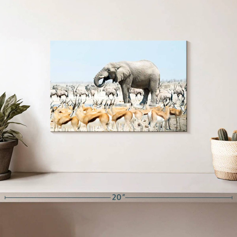 Brampt Safari éléphant Etosha, H 8 po x l 12 po