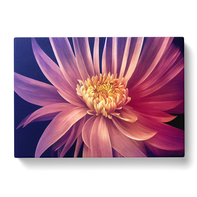 Serene Chrysanthemum - Wrapped Canvas, 50cm H x 76cm W x 3cm D
